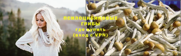 спайс Алзамай