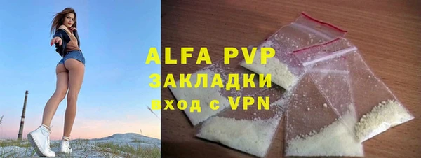 индика Надым