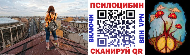 Галлюциногенные грибы прущие грибы  купить закладку  Темников 